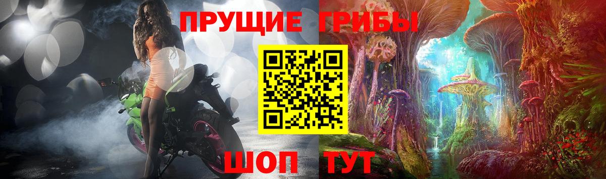 Галлюциногенные грибы GOLDEN TEACHER Черняховск