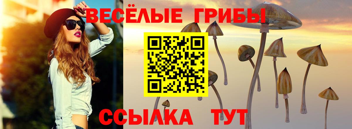 Черняховск  Псилоцибиновые грибы GOLDEN TEACHER  Галлюциногенные грибы ЛСД  Вход с VPN 